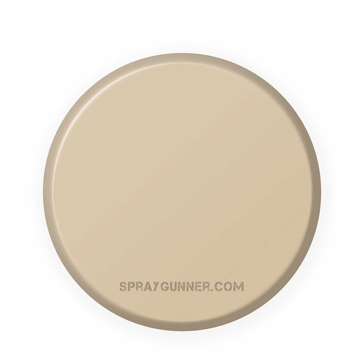 IONIC Smart Colors: Old Bone (20ml) - SprayGunner