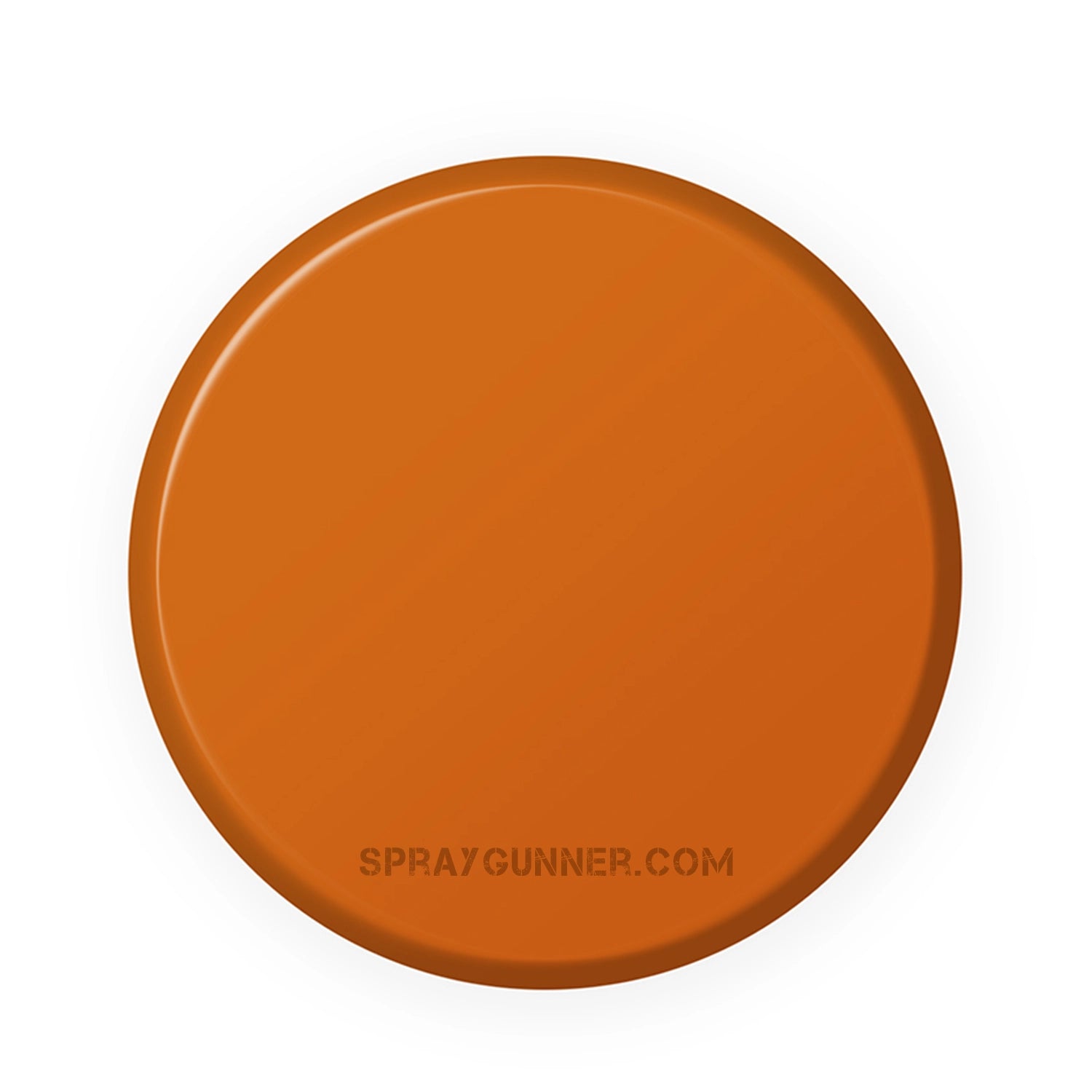 IONIC Smart Colors: Light Rust (20ml) - SprayGunner