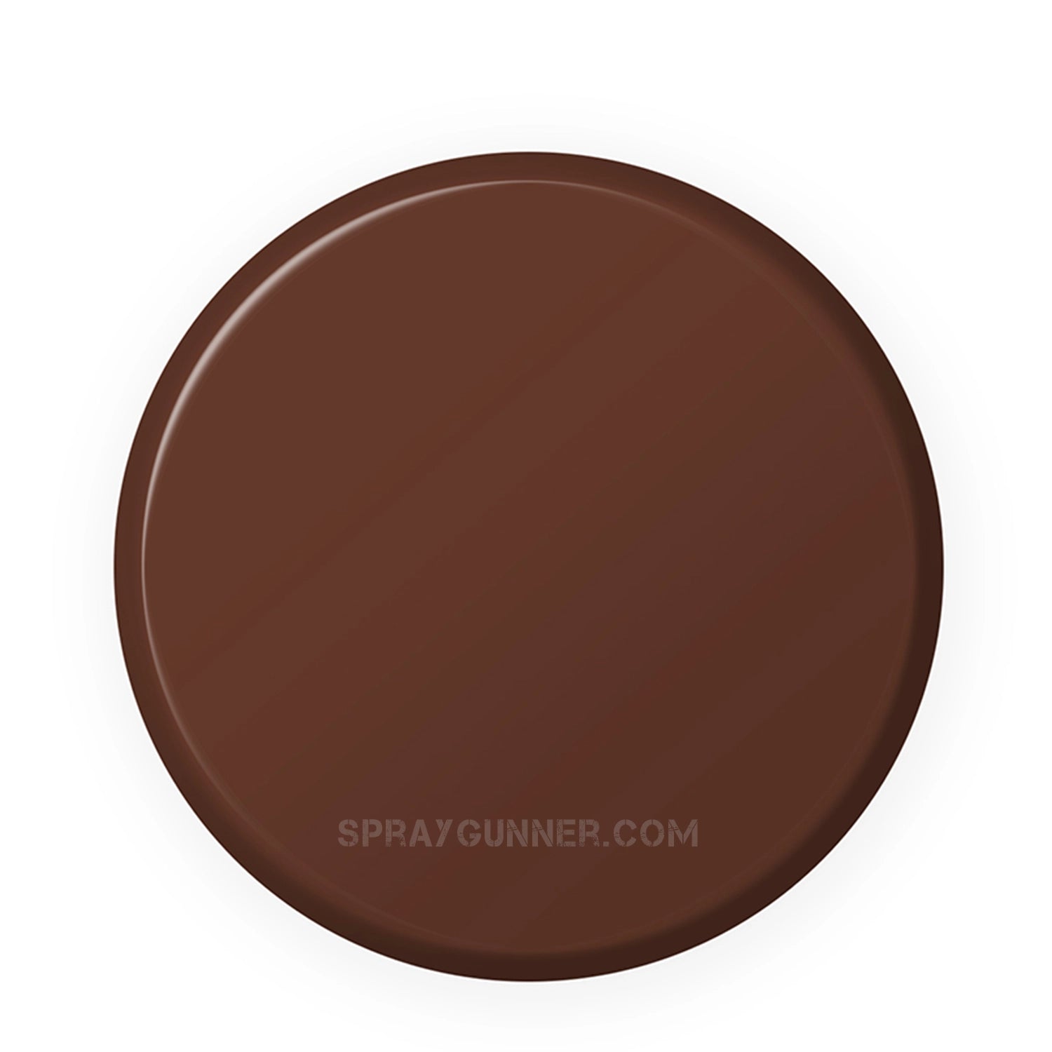 IONIC Smart Colors: Dark Skin (20ml) - SprayGunner