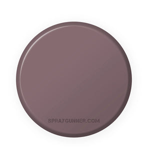 IONIC Smart Colors: Stonewall Grey (20ml) - SprayGunner
