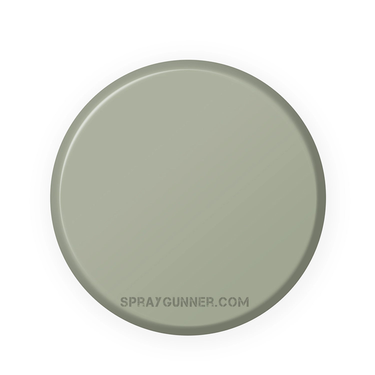 IONIC Smart Colors: Ruins Grey (20ml) - SprayGunner