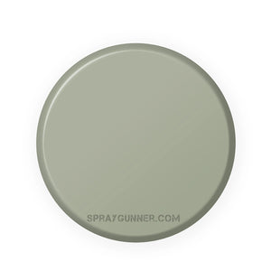 IONIC Smart Colors: Ruins Grey (20ml) - SprayGunner