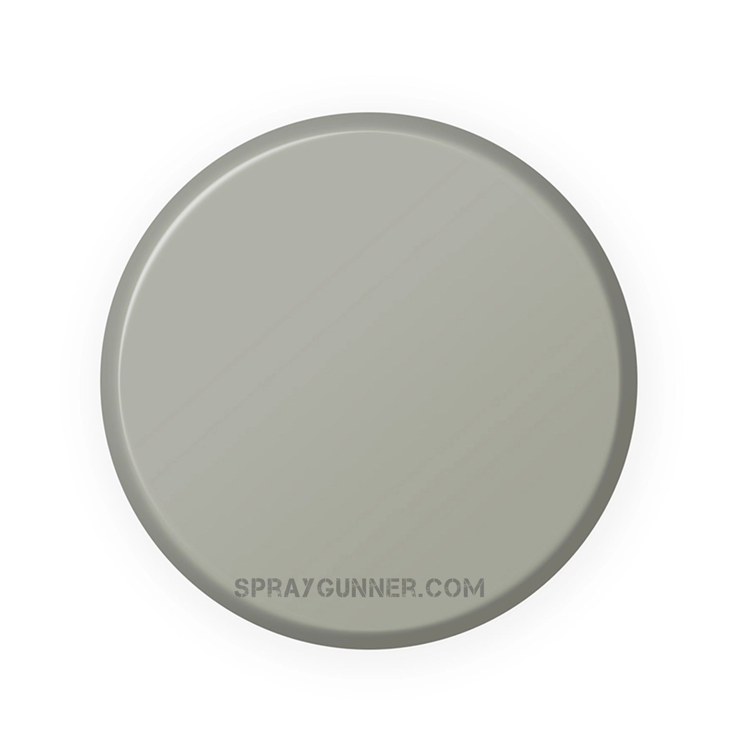IONIC Smart Colors: Moon Grey (20ml) - SprayGunner