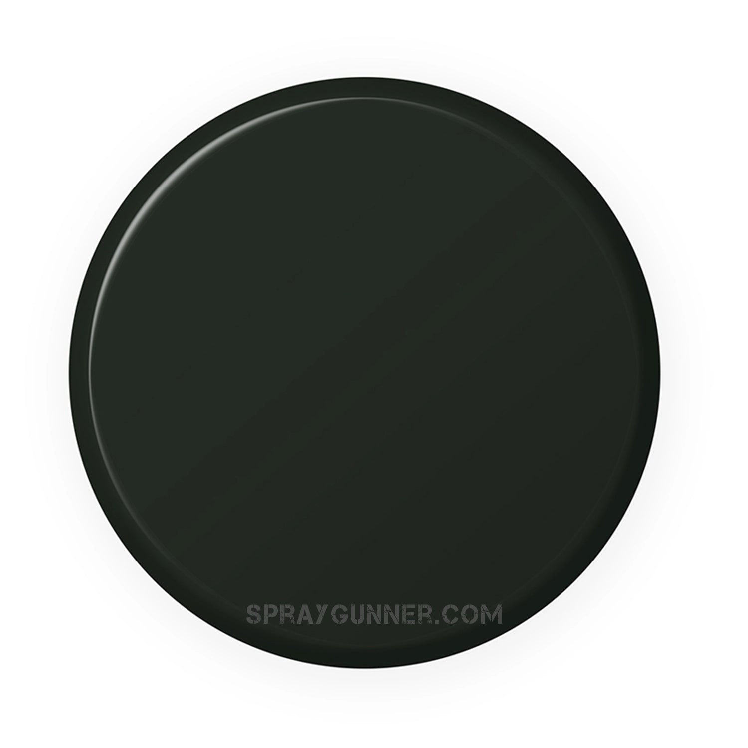 IONIC Smart Colors: Cold Black (20ml) - SprayGunner
