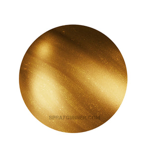 IONIC Smart Colors: Bronze (20ml) - SprayGunner