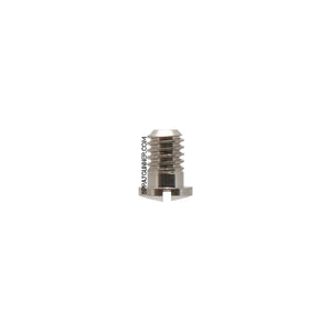 Iwata Main Body Ring Screw N1312 Iwata
