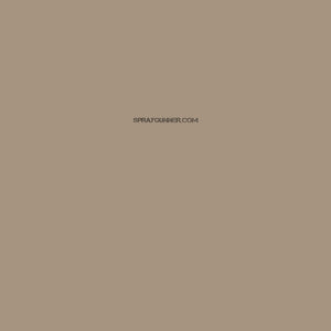 Mission Models Paints Color: MMP-006 Light Neutral Tan - SprayGunner