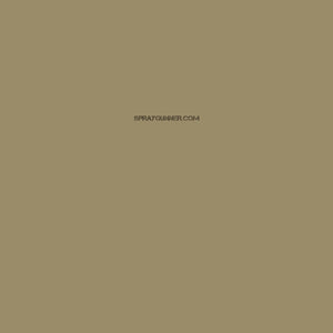 Mission Models Paints Color: MMP-016 Sandgrau RAL 7027 - SprayGunner