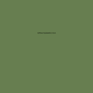 Mission Models Paints Farbe: MMP-059 US Interior Green FS 34151