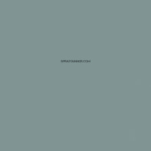 Mission Models Paints Color: MMP-094 Sea Grey Medium RAF WWII BS 637 - SprayGunner