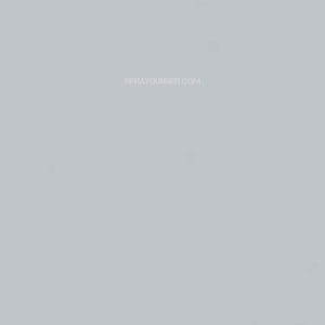 Medea NuWorlds Paint Zenith Light Grey 1 oz - SprayGunner