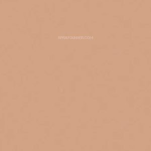 Medea NuWorlds Paint Light Olive Flesh 1 oz - SprayGunner