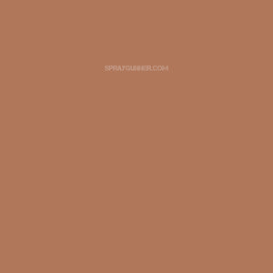 Medea NuWorlds Paint Espresso Flesh 1 oz - SprayGunner