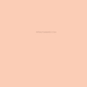 Medea NuWorlds Paint Fair Blush Flesh 1 oz - SprayGunner