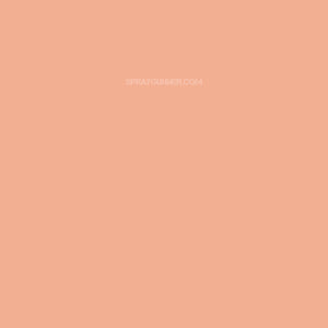 Medea NuWorlds Paint Blush Flesh 1 oz - SprayGunner
