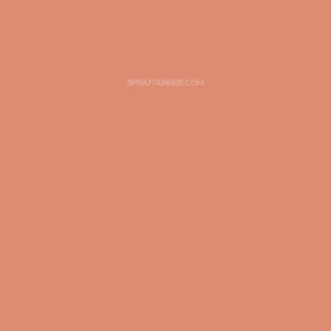 Medea NuWorlds Paint Deep Blush Flesh 1 oz - SprayGunner