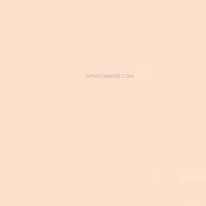 Medea NuWorlds Paint Light Neutral Flesh 1 oz - SprayGunner