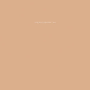 Medea NuWorlds Paint Deep Neutral Flesh 1 oz - SprayGunner