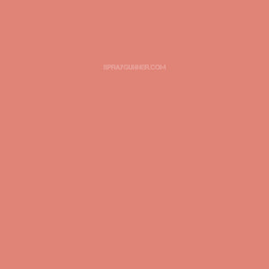Medea NuWorlds Paint Natural Lip 1 oz - SprayGunner