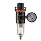 In-Line Low Pressure Air Regulator with Gauge and Moisture Trap Filter by NO-NAME Brand