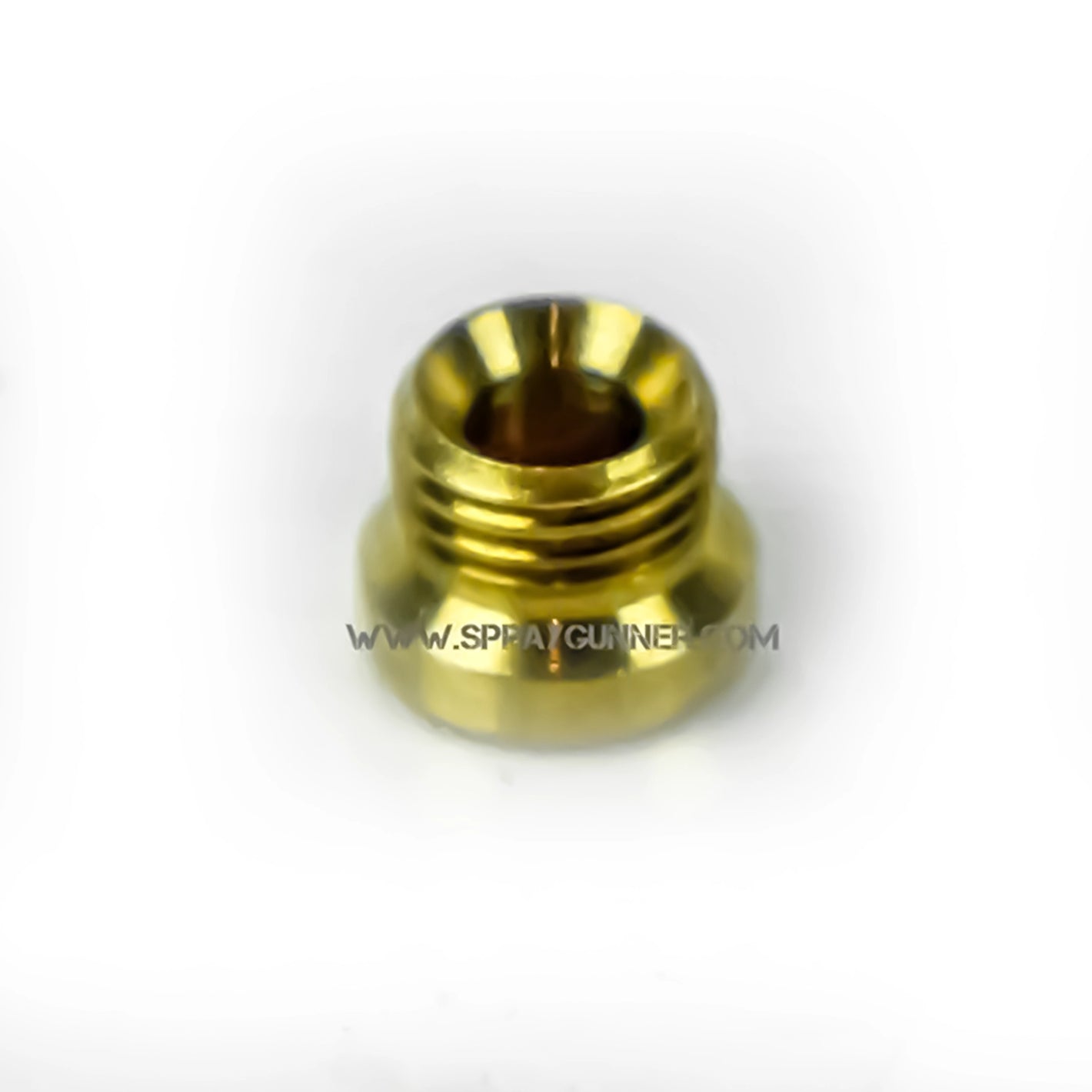 BADGER SOTAR 20-131 Air Valve Screw