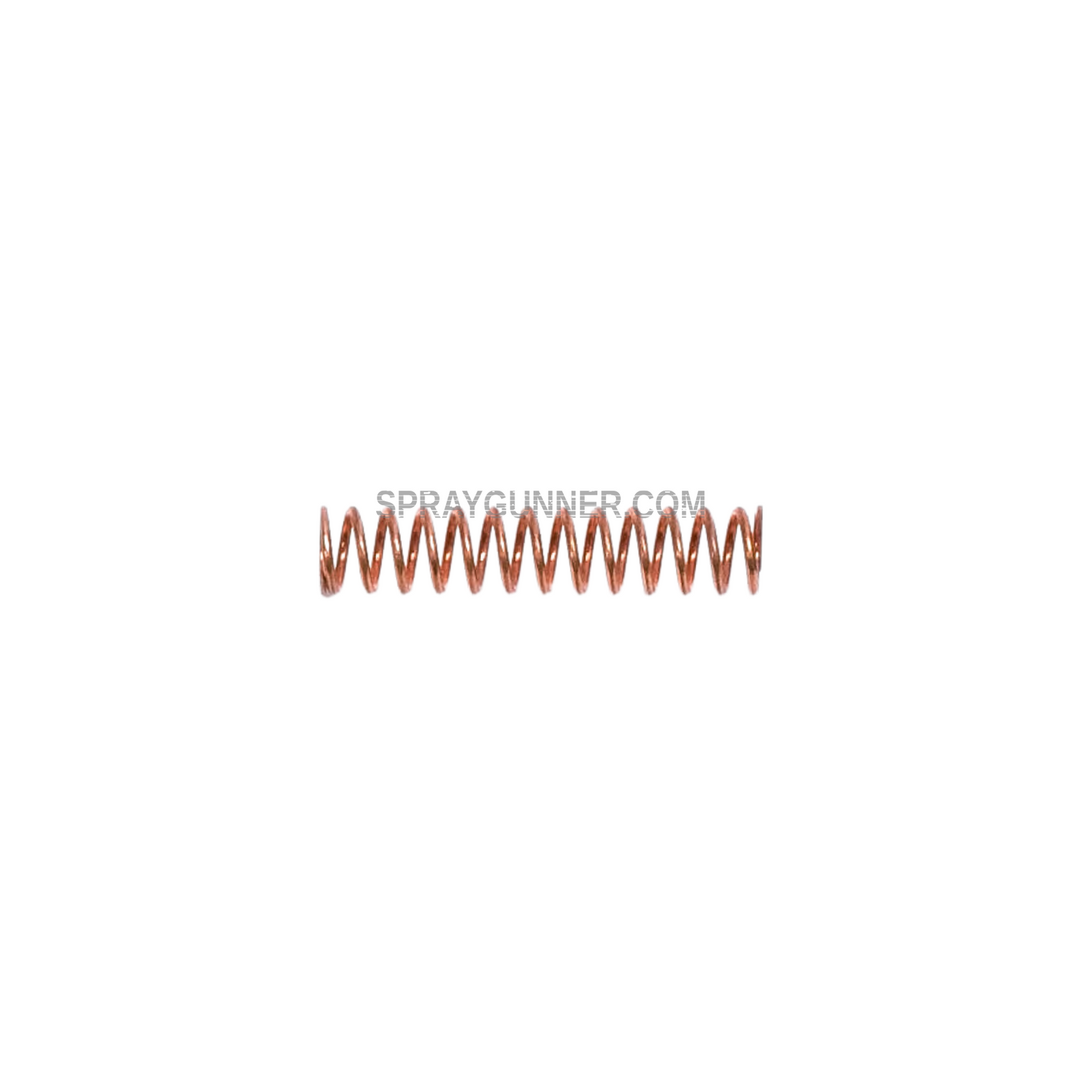 RichPen 29719 Valve Spring