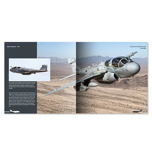 Ammo by MIG Publications Grumman EA-6B Prowler AMMO by Mig Jimenez