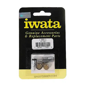 Iwata QD Set I1601 Iwata