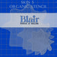 Blair Stencil - Skin 5 BLAIR